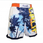 Training Shorts
